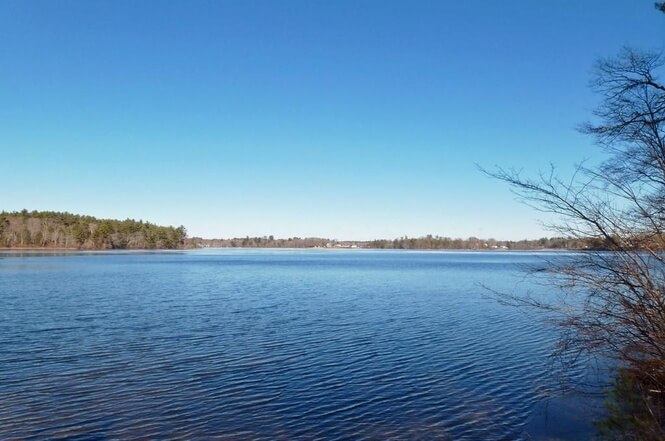 Pond in Halifax, Massachusetts